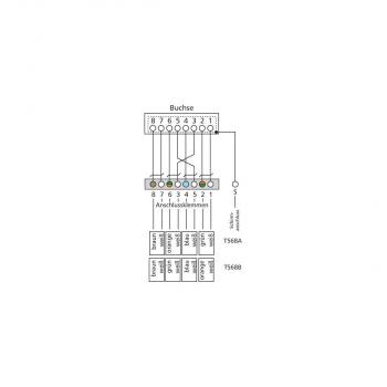 Metz Connect 130862-11-E E-DAT C6 6x8 AP-Verteiler Cat.6, lichtgrau