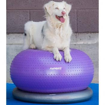 FitPAWS Fitnessball für Hunde TRAX Donut 55 cm Lila