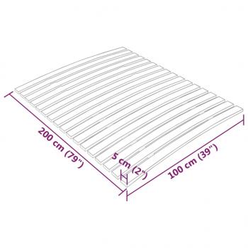 Lattenrost mit 17 Latten 100x200 cm