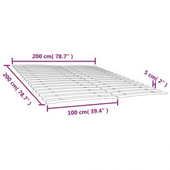 Lattenroste mit 34 Latten 2 Stk. 100x200 cm