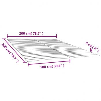 Lattenroste mit 48 Latten 2 Stk. 100x200 cm