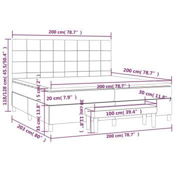 Boxspringbett mit Matratze Hellgrau 200x200 cm Samt