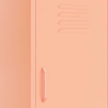 Lagerschrank Rosa 42,5x35x101,5 cm Stahl