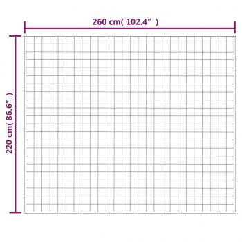 Gewichtsdecke Grau 220x260 cm 11 kg Stoff