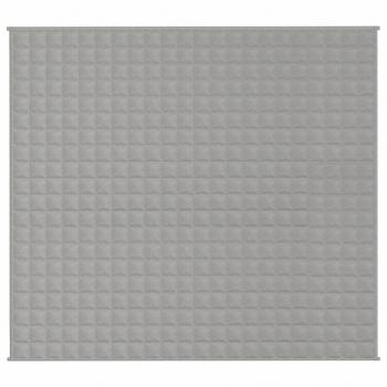 Gewichtsdecke Grau 200x220 cm 9 kg Stoff