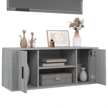 TV-Schrank Grau Sonoma 100x35x40 cm Holzwerkstoff