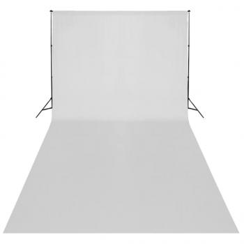 Fotostudio-Set mit Weißem Hintergrund 600×300 cm & Leuchten