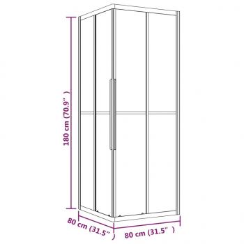 Duschkabine Matt ESG 80x80x180 cm Schwarz