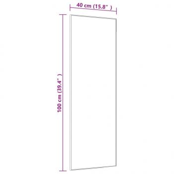 Türspiegel Schwarz 40x100 cm Glas und Aluminium