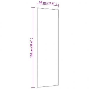 Türspiegel Schwarz 30x100 cm Glas und Aluminium