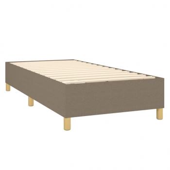 Boxspringbett mit Matratze & LED Taupe 100x200 cm Stoff 