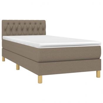 Boxspringbett mit Matratze & LED Taupe 100x200 cm Stoff 