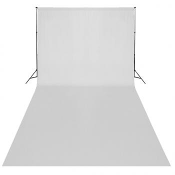 Fotostudio-Set mit Leuchten, Hintergrund und Reflektor