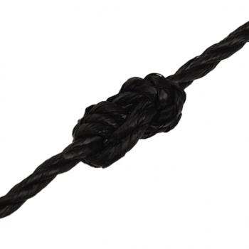 Arbeitsseil Schwarz 6 mm 250 m Polypropylen