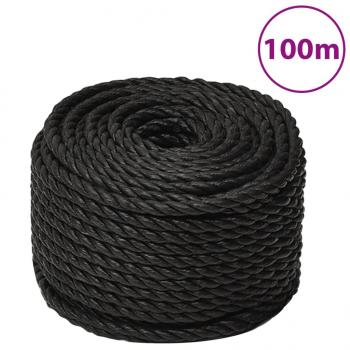 ARDEBO.de - Arbeitsseil Schwarz 10 mm 100 m Polypropylen