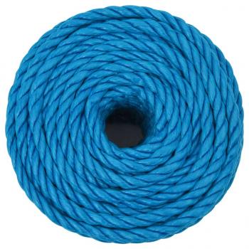 Arbeitsseil Blau 12 mm 25 m Polypropylen