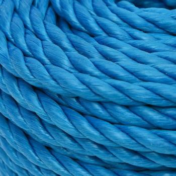 Arbeitsseil Blau 12 mm 50 m Polypropylen