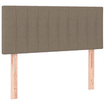 Boxspringbett mit Matratze & LED Taupe 100x200 cm Stoff