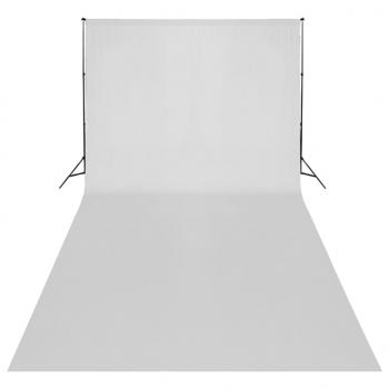 Fotostudio-Set mit Leuchten, Hintergrund und Reflektor