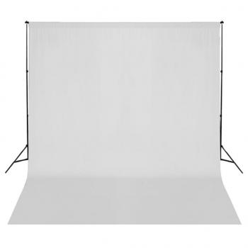 Fotostudio-Set mit Leuchten, Hintergrund und Reflektor