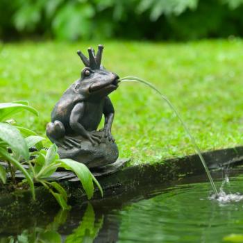 ARDEBO.de - Ubbink Wasserspeier Froschkönig