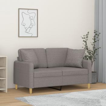 ARDEBO.de - 2-Sitzer-Sofa mit Zierkissen Hellgrau 120 cm Stoff