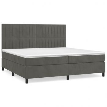 Boxspringbett mit Matratze Dunkelgrau 200x200 cm Samt