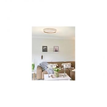 Paul Neuhaus Q-Vito LED-Deckenleuchte, 58W, 5800lm, Smart Home, stahl (8418-55)