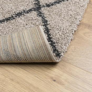 Teppich Shaggy Hochflor Modern Beige und Anthrazit 140x200 cm