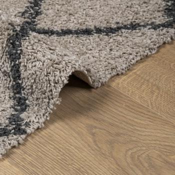 Teppich Shaggy Hochflor Modern Beige und Anthrazit 140x200 cm