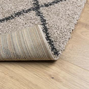 Teppich Shaggy Hochflor Modern Beige und Anthrazit 120x170 cm