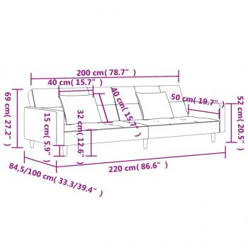 Schlafsofa 2-Sitzer mit 2 Kissen Dunkelgrau Stoff