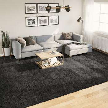 ARDEBO.de - Teppich Shaggy Hochflor Modern Anthrazit 300x400 cm