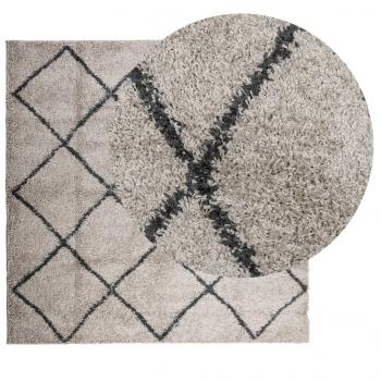 Teppich Shaggy Hochflor Modern Beige und Anthrazit 160x160 cm