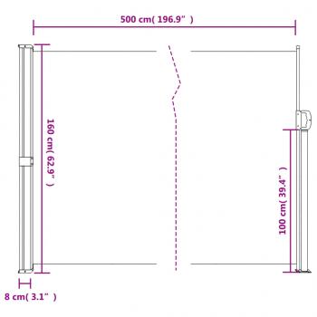 Seitenmarkise Ausziehbar Braun 160x500 cm