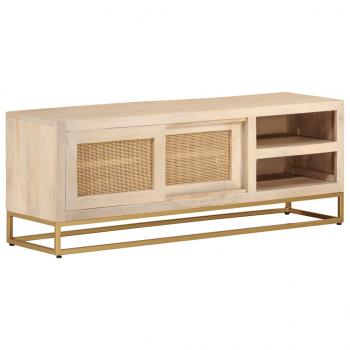 ARDEBO.de - TV-Schrank 110x30x40 cm Massivholz Mango und Eisen