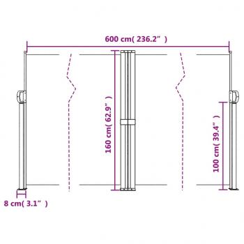 Seitenmarkise Ausziehbar Braun 160x600 cm