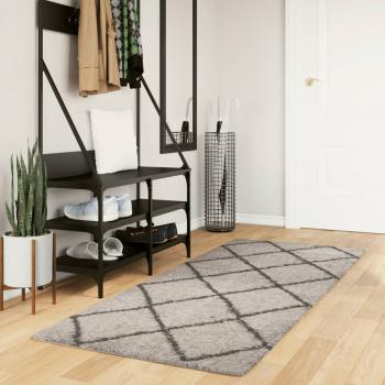 ARDEBO.de - Teppich Shaggy Hochflor Modern Beige und Anthrazit 80x200 cm