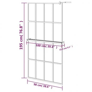 Duschwand mit Ablage für Walk-In-Dusche Schwarz 100x195 cm ESG