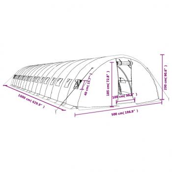 Gewächshaus mit Stahlrahmen Grün 80 m² 16x5x2,3 m