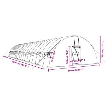 Gewächshaus mit Stahlrahmen Weiß 120 m² 20x6x2,85 m