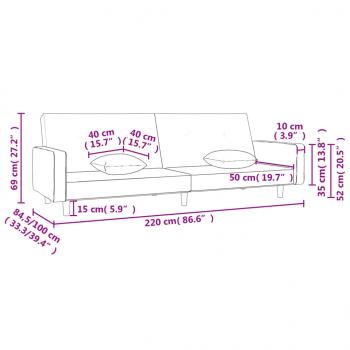 Schlafsofa 2-Sitzer mit 2 Kissen Dunkelgrau Stoff