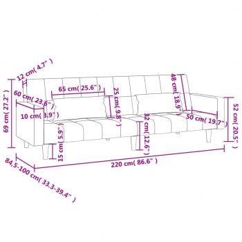 Schlafsofa 2-Sitzer mit 2 Kissen Dunkelgrau Stoff