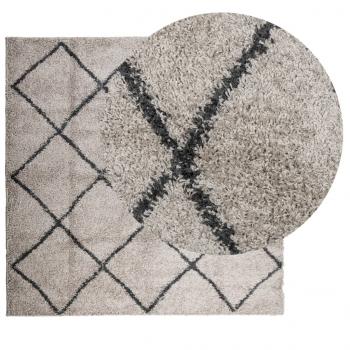 Shaggy-Teppich Hochflor Modern Beige Anthrazit 120x120 cm