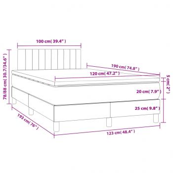 Boxspringbett mit Matratze Dunkelgrau 120x190 cm Stoff