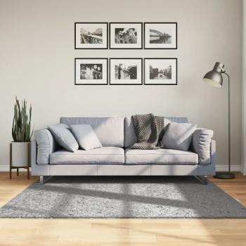 ARDEBO.de - Shaggy-Teppich PAMPLONA Hochflor Modern Grau 160x160 cm