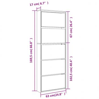 Schuhschrank mit Spiegel 5 Fächer Schwarz 63x17x169,5 cm