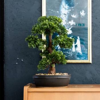 ARDEBO.de - Emerald Künstliches Mini-Bonsai Ficus in Brauner Schale 43 cm