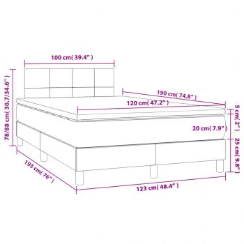 Boxspringbett mit Matratze & LED Schwarz 120x190 cm Stoff