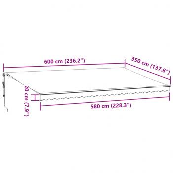 Markise Automatisch mit LEDs Anthrazit & Weiß 600x350 cm